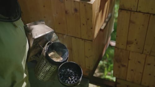Beekeeper Loading Bee Smoker for Honey Bees at Apiary. Close Up