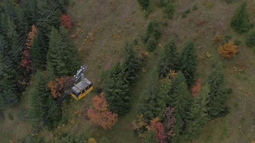 Aerial view of cable car over autumn forest, Switzerland.