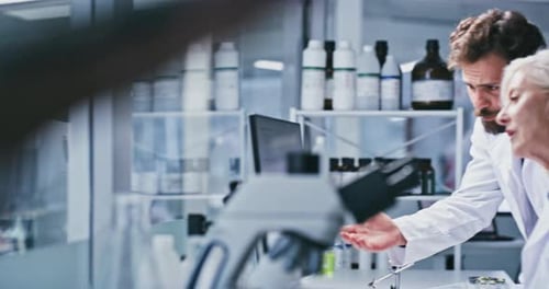 Scientists Collaborate Using Computer in Bright Modern Laboratory