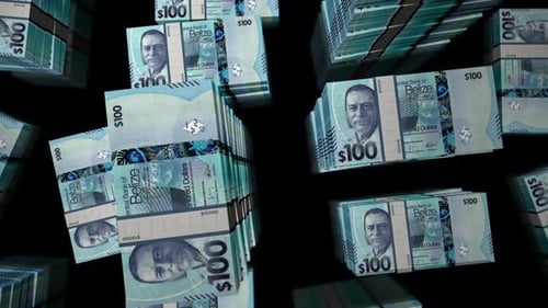 3d flight over the Belize dollars money banknote packs loop