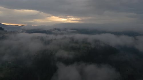 Flying between layers of mist and clouds at dusk, treetops of a forest below barely breaching the mi