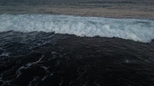 Massive Waves 99