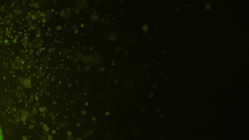 Small green particles flying through the sky.