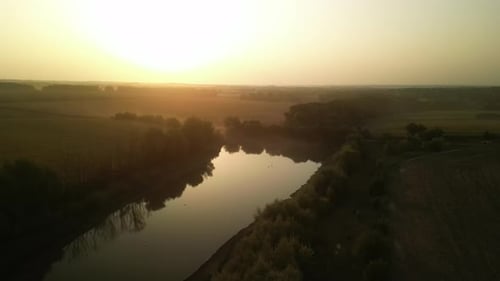 Swans on the lake at sunset. Sunset on the lake in the fields