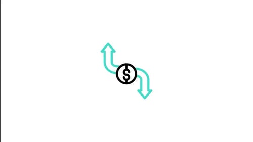 Expense Animated Icon