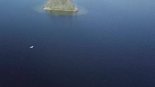 Aerial drone video over the big lake with some small islands and bird flies through