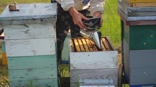 Beekeeper Inspecting Honeycomb Frames in Rural Setting