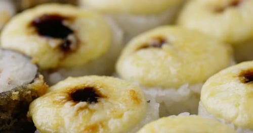 Sushi Rolls Rotating Closeup