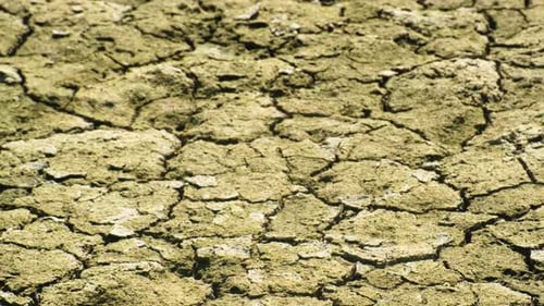 Drought cracked dry ground soil earth environmental issue Field Without Rain