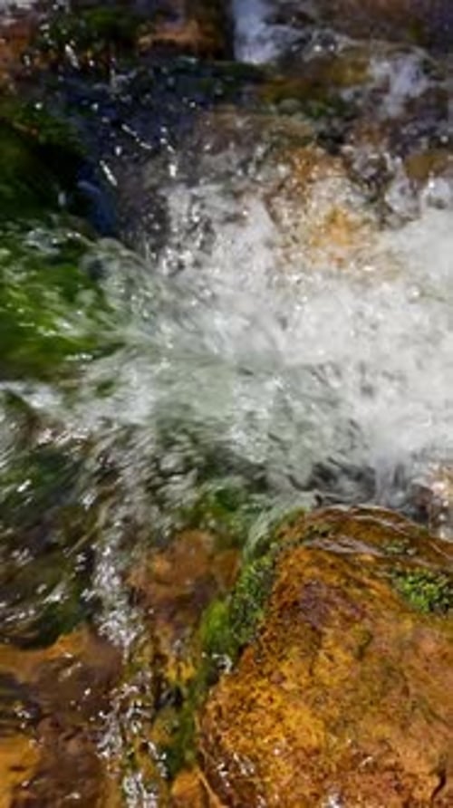 Mountain River an einem Sommertag