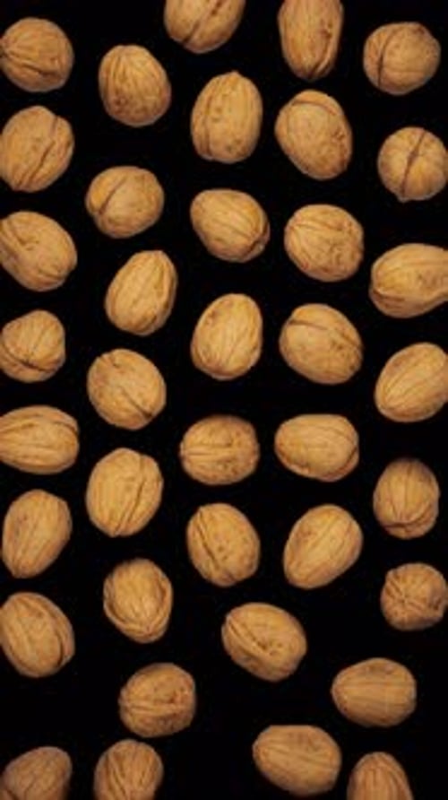 Realistic Walnuts Falling on Black Background