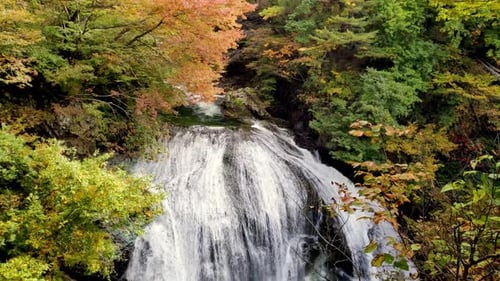 loopable slow motion closeup beautiful Japanese autumn forest waterfall