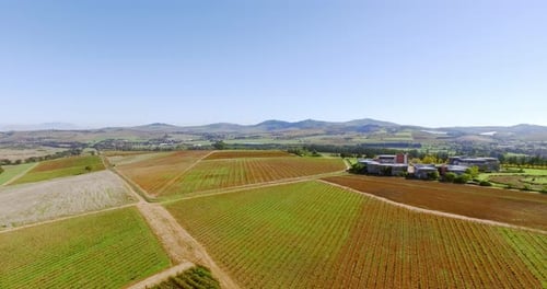 Top view, outdoor and farm with nature, countryside and landscape with grass