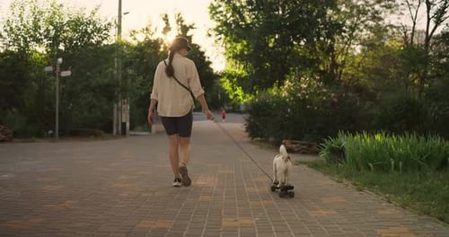 Rear View of a Girl Owner of a Pet Walking with a White Dog Riding a Skateboard Along an Alley in a