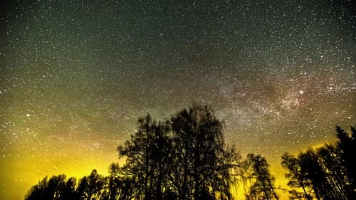 Scenic Milky Way In The Night Sky Over Trees In Silhouette. low angle, time lapse