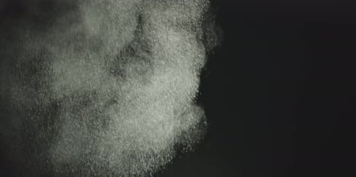 Organic Dust Particles