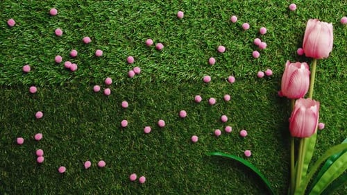 Pink Gift with Pink Tulips on Artificial Grass