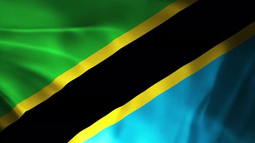 Tanzania Flag