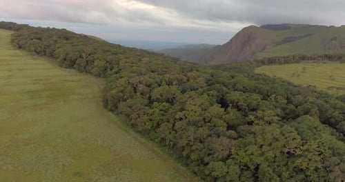 4k aerial drone footage tracking over the treetops of lush green forested hills with valley in the b