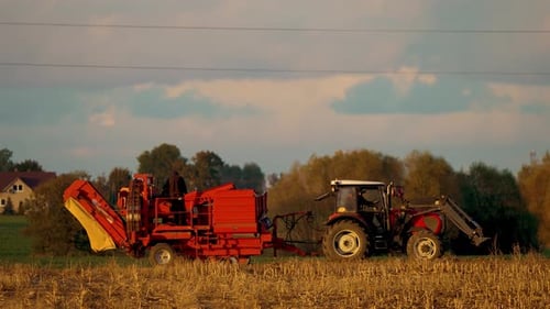 Tractor with Towed Harvester for Sugar Beet Harvesting is Working in Agricultural Field
