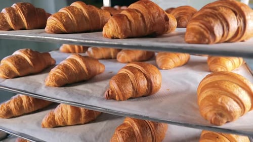 Freshly Baked Croissants on Rack in Bakery