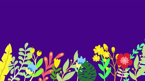 Spring flower cartoon animation with purple background