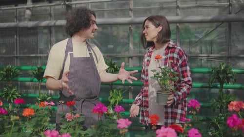 A Male Sales Consultant Gives Advice to the Buyer on Caring for Flowers A Male Plant Botanist