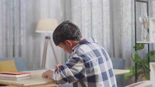 Back View Of Asian Teenager Studying At Home, Asia Teen Writing While Sitting On The Table