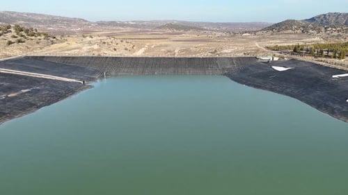 Cormorant Swimming In Pond, aquatic animals in the dam
