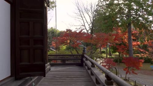 Walking through beautiful temple grounds in Kyoto, Japan during fall