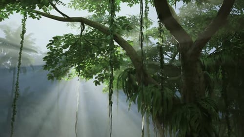 Tree Standing Tall in Forest