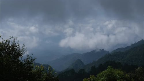 Aerial view of sea of fog on tropical mountains in the early morning.