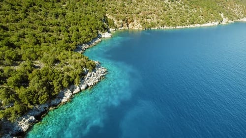 Aerial view of a forested coastline with turquoise water and rocky shore