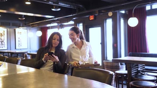 Art Gallery and Exhibition Space