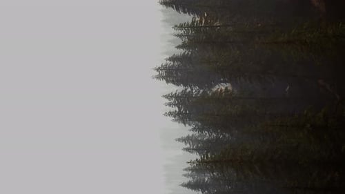 Vertical Format of Misty Mountain Forest Landscape in the Morning