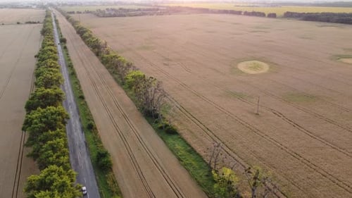 Panoramic Landscape Agricultural Wheat Fields Industrial Fields Forest City