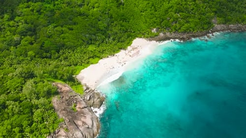 White Sand Beach Nestled Between Green Forest and Turquoise Ocean Seychelles Mahe