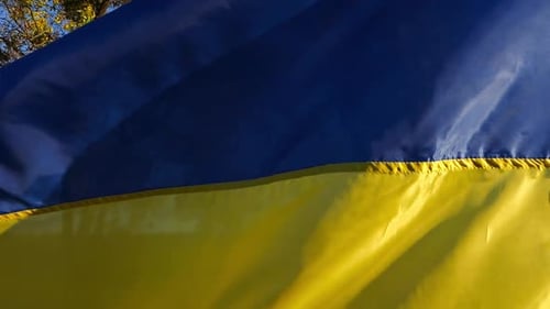 Waving Flag of Ukraine in the Wind