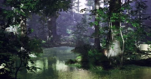 Serene Forest Landscape with a Tranquil Pond Reflecting Greenery