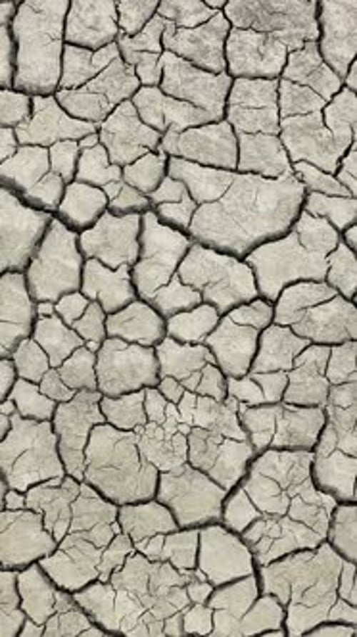Area is Covered with Dry Cracked Mud Result of Severe Dehydration of the Soil