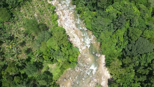 Aerial View of River Through Tropical Forest