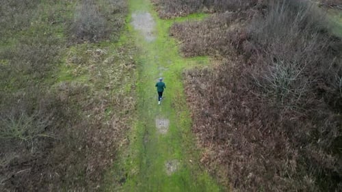 Aerial view of a person jogging on a narrow path through winter heath. Tracking Shot