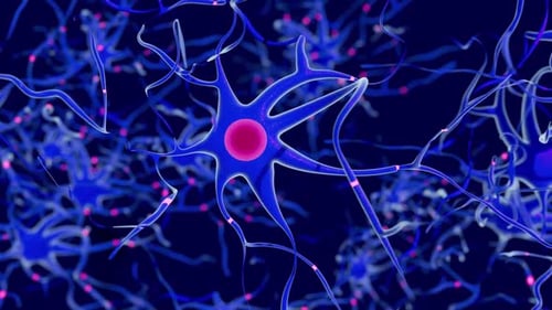 Neural Network Sending Signals Animated Background