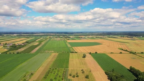 Aerial view with the landscape geometry texture of a lot of agriculture fields with different plants