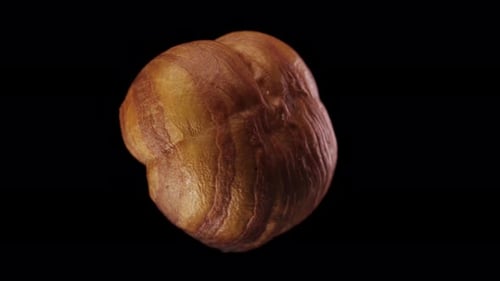 Peeled hazelnut. Rotates on a black background. close-up.
