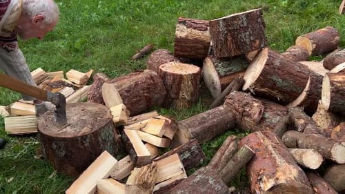 A Man Chopping Wood with an Axe on a Stump
