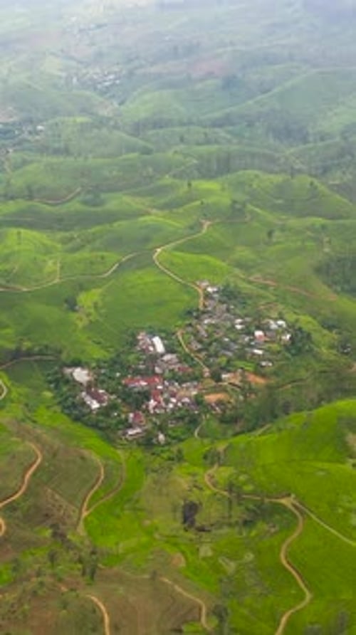 Tea Estate in the Mountainous Province View From Above