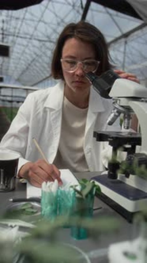 Female Plant Scientist Writing Notes during Microscopy Research in Greenhouse