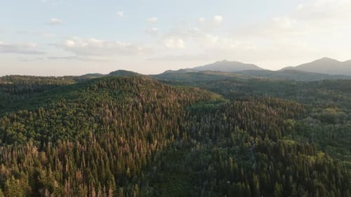 Aerial view of forested mountains, United States.