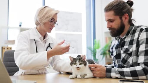Veterinarian Giving Injection to Cat in Clinic